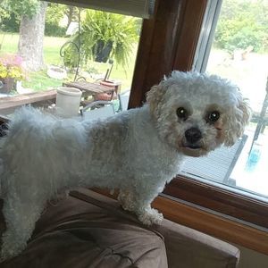 Meet your Posher, Sherry